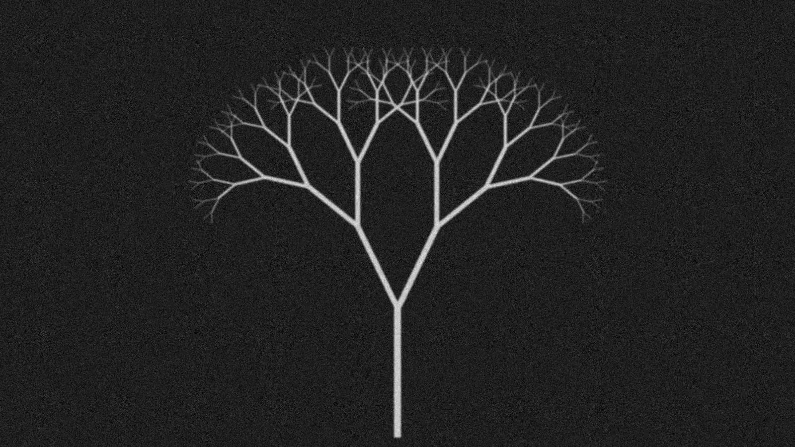 Illustration: a pale branching tree splitting into many thin lines on black.